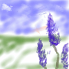 Shipainter_2004831122057.png