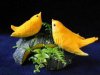 fruit_carvings_003.jpg