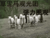 未命名.gif